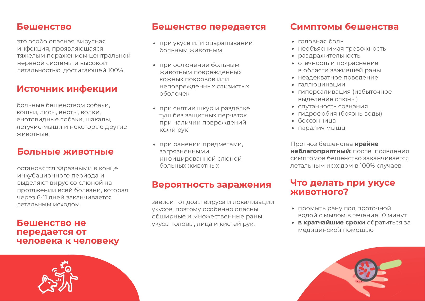 Профилактика_бешенства_page-0002.jpg